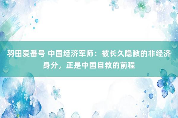 羽田爱番号 中国经济军师：被长久隐敝的非经济身分，正是中国自救的前程