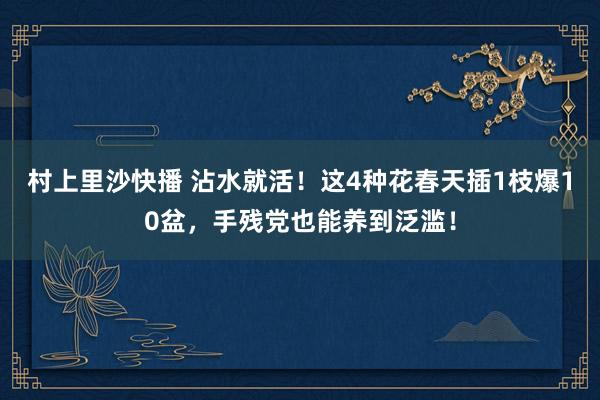 村上里沙快播 沾水就活！这4种花春天插1枝爆10盆，手残党也能养到泛滥！