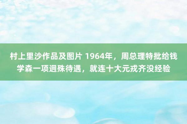 村上里沙作品及图片 1964年，周总理特批给钱学森一项迥殊待遇，就连十大元戎齐没经验