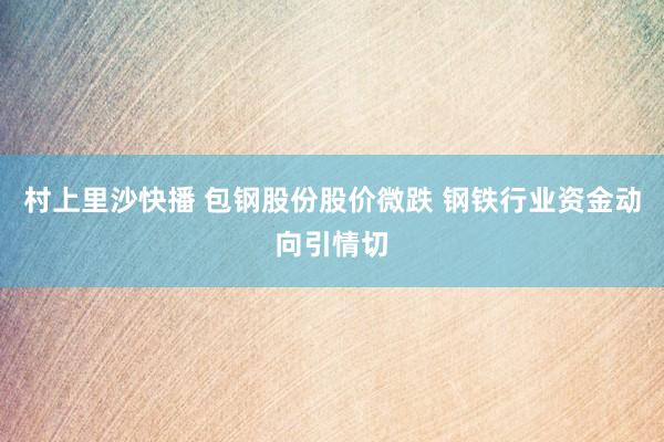 村上里沙快播 包钢股份股价微跌 钢铁行业资金动向引情切